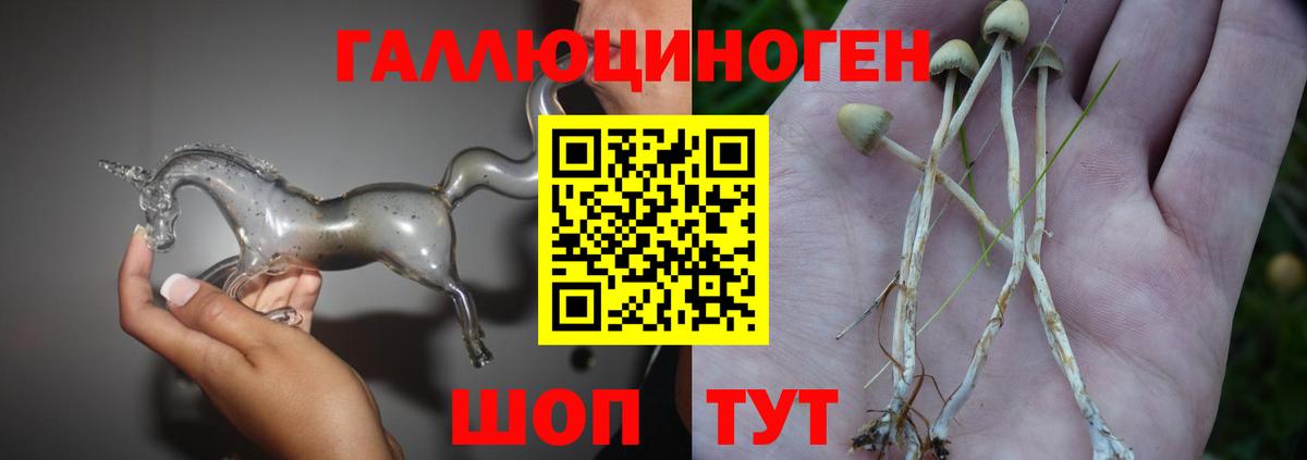 Псилоцибиновые грибы GOLDEN TEACHER  наркошоп  Псилоцибиновые грибы Cubensis  Ярцево  Вход с VPN 